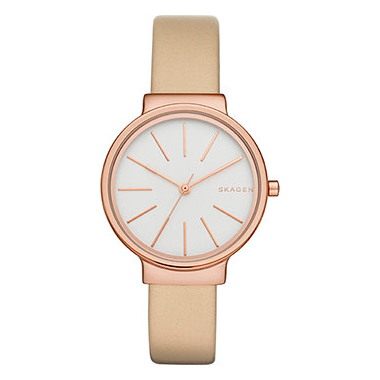 SKAGEN SKW 2481 SKAGEN SKW 2481