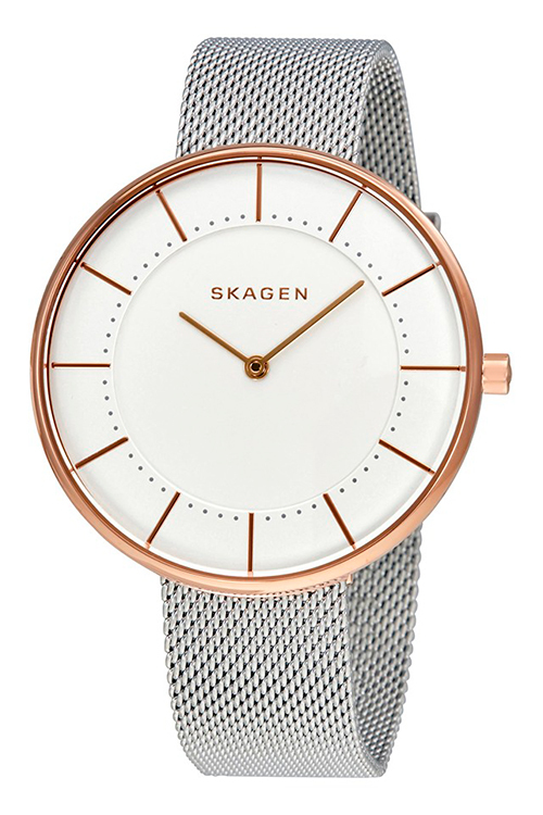 SKAGEN SKW 2583 SKAGEN SKW 2583