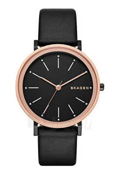 SKAGEN SKW 2490 SKAGEN SKW 2490