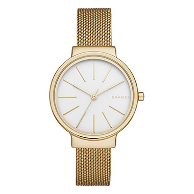SKAGEN SKW 2477 SKAGEN SKW 2477